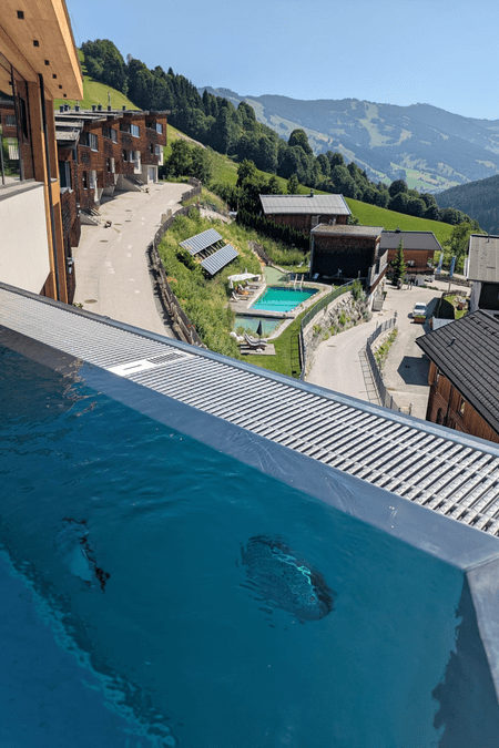 An infinity pool with a view of Bachgut and the natural swimming pond.