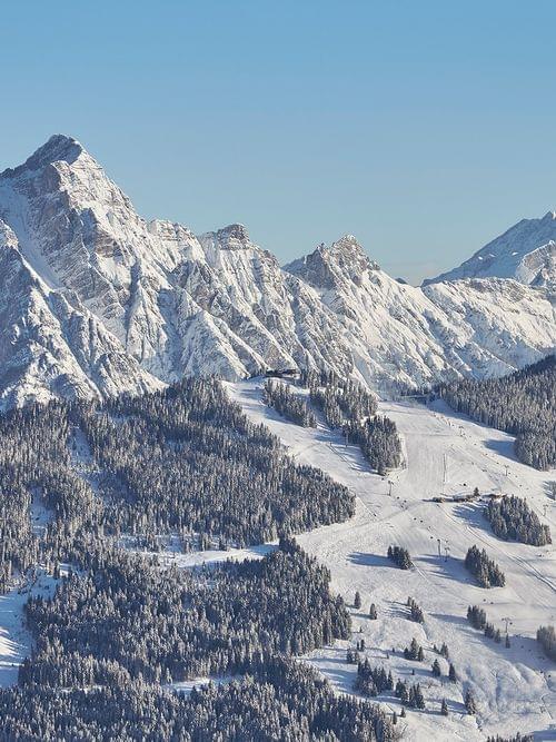 Snow-covered mountain range with ski slopes and pine forests under clear blue sky