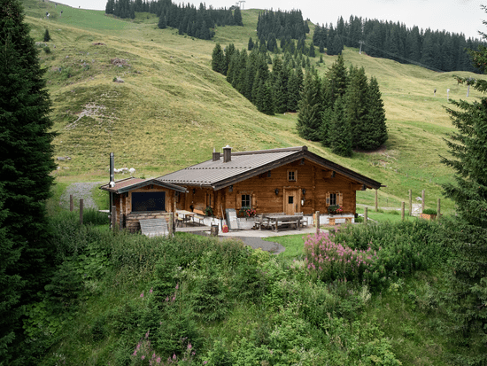 Bachalm im Sommer aus der Vogelperspektive, umgeben von Grünen Almwiesen