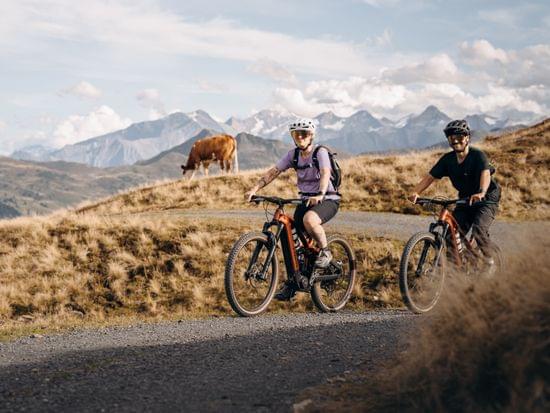 Bike_Sommer_2025__23_.jpg