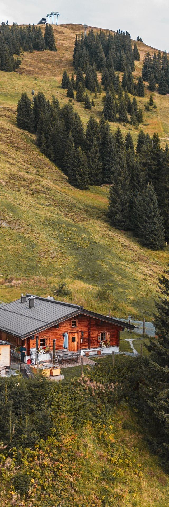 Bachalm von der Vogelperspektive im Sommer