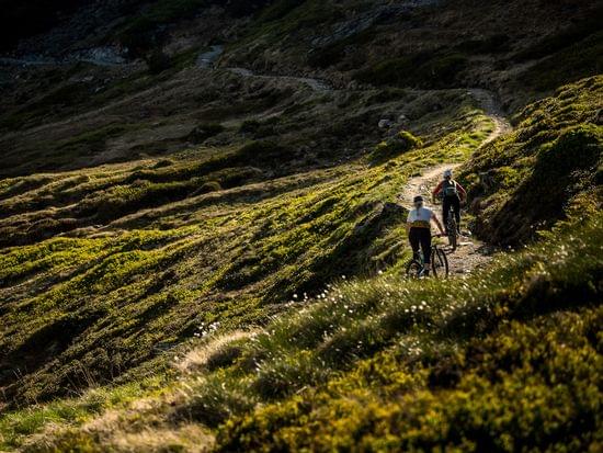 Two mountain bikers riding on a narrow trail through a sunlit alpine landscape