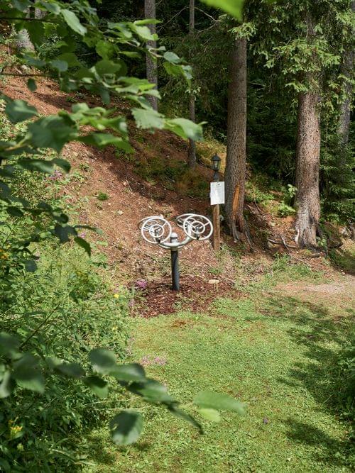 Outdoor-Fitnessgerät auf Waldweg umgeben von Bäumen und Grün
