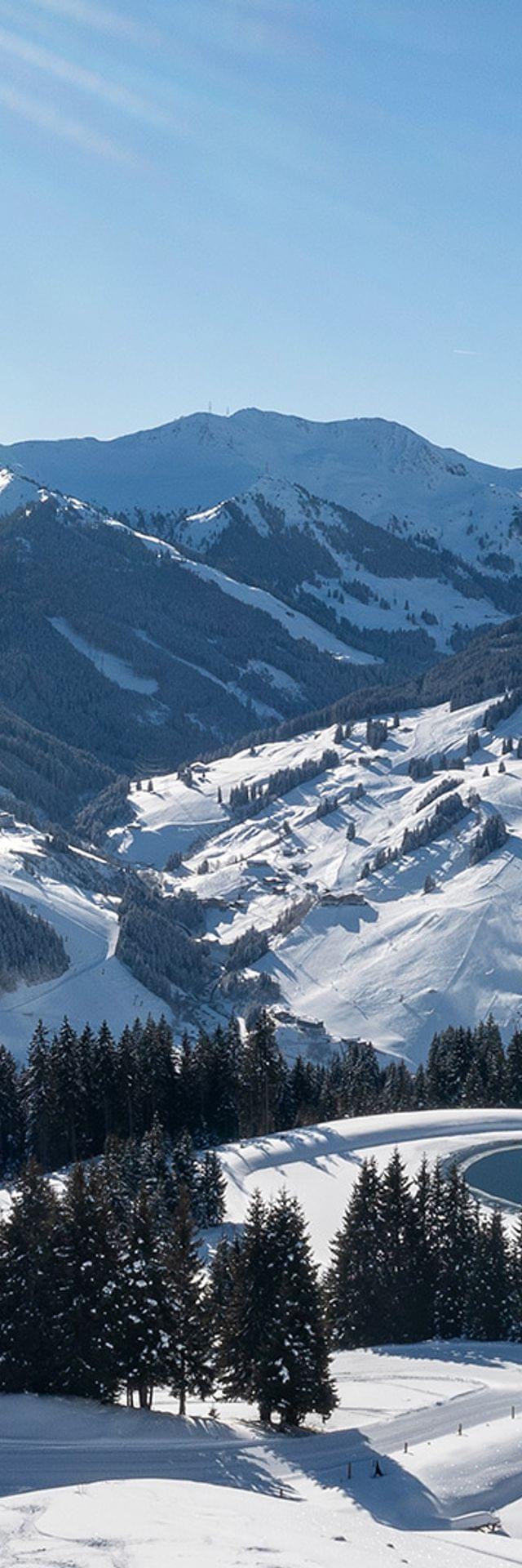 Verschneites Alpen-Skigebiet mit bewaldeten Hängen und Berggipfeln unter klarem Himmel