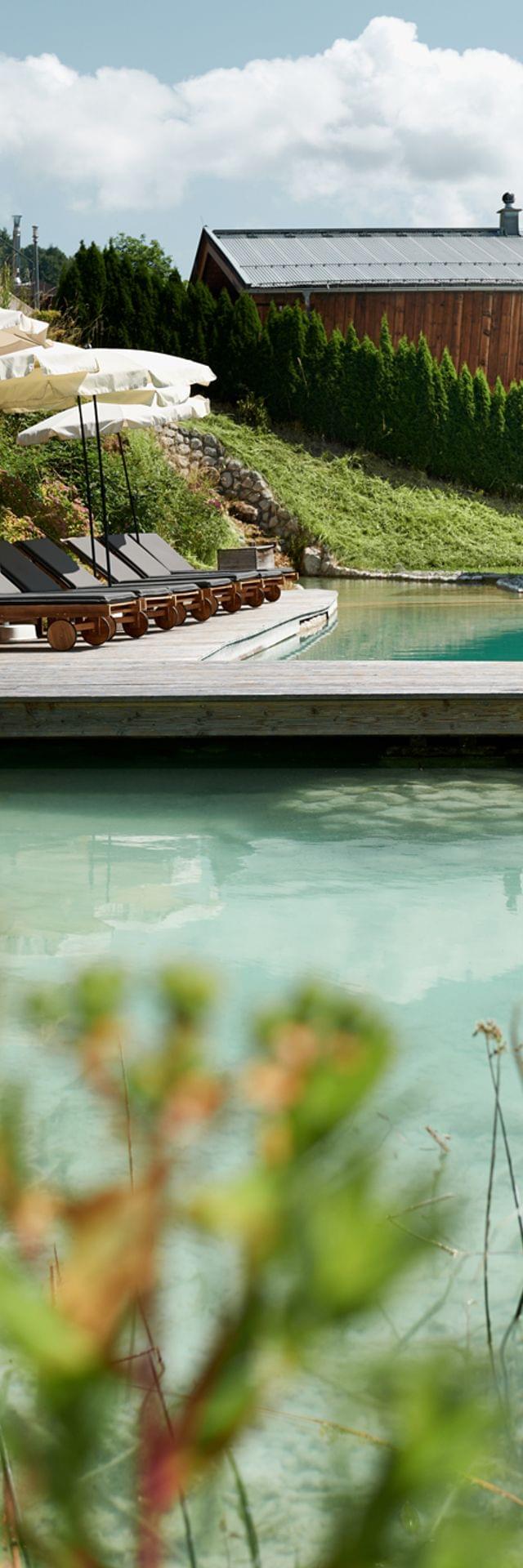 Eco hotel with natural swimming pond, solar panels, loungers and umbrellas in a green hillside setting