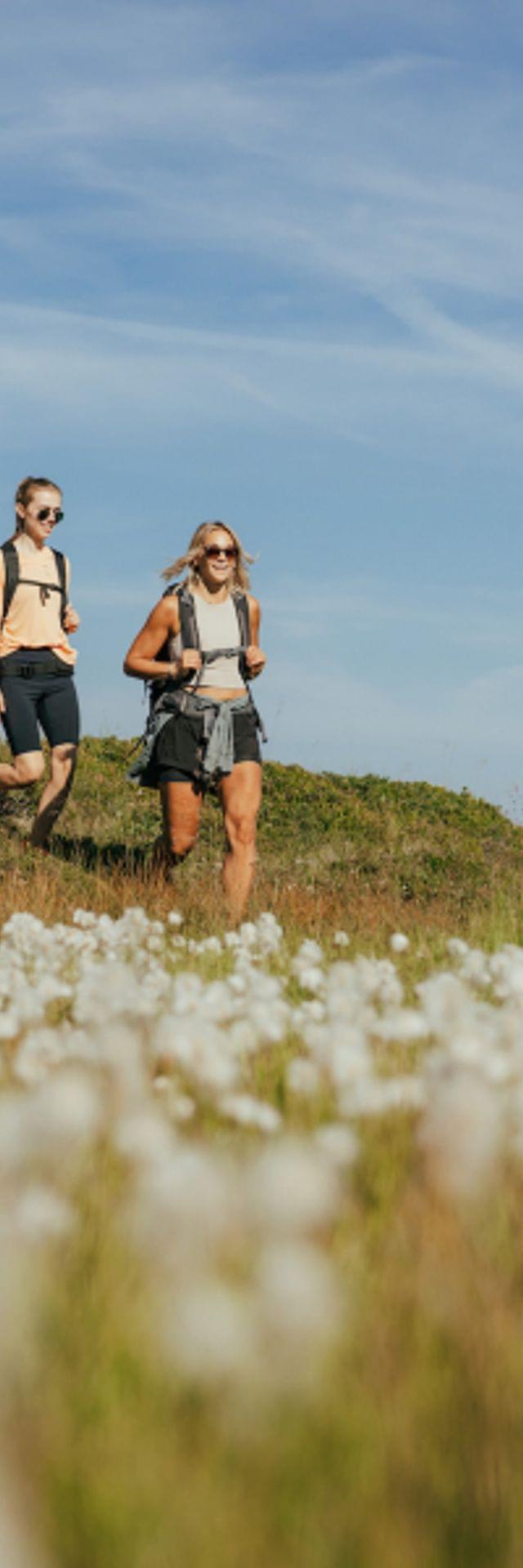Drei Frauen wandern durch eine Alpenwiese mit weißen Wildblumen unter blauem Himmel