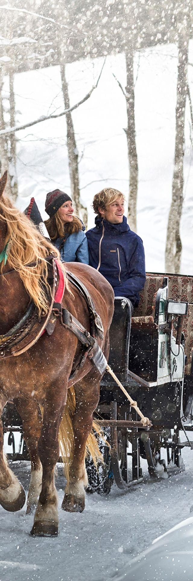 Horse-drawn sleigh ride through snowy forest with smiling passengers