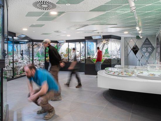 Museum mit Ausstellung und Menschen 