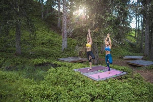 Zwei Frauen machen Yoga im Baum-Pose auf Matten im Wald