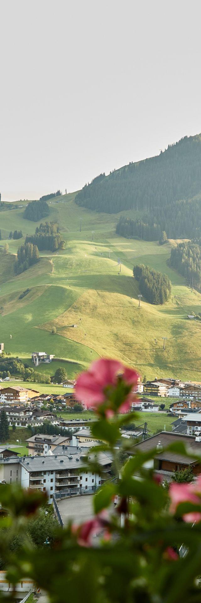 Alpendorf mit rosa Blumen im Vordergrund und grüner Berglandschaft im Hintergrund