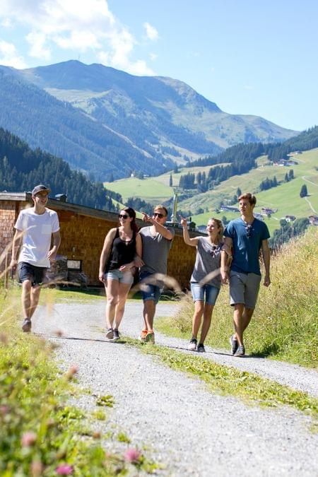 Gruppe junger Erwachsener wandert bei Sonnenschein auf einem Bergweg in Alpenlandschaft