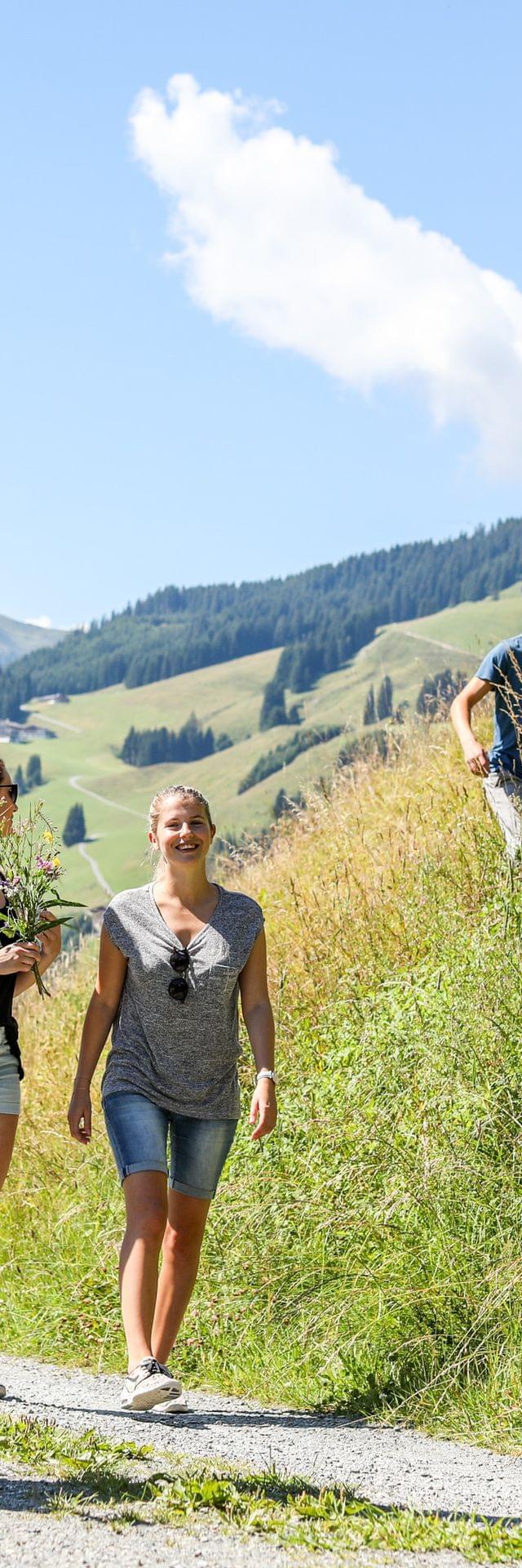 Gruppe junger Menschen wandert bei Sonnenschein auf einem Bergpfad
