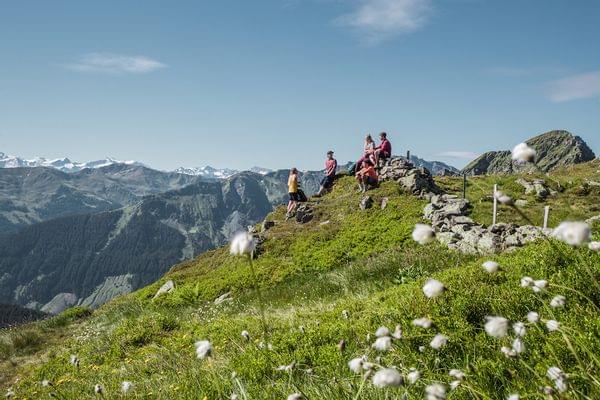 Wanderergruppe rastet auf einem grünen Bergrücken mit Alpenpanorama im Hintergrund