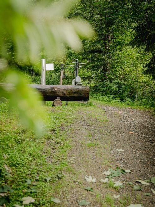 Outdoor Fitnessparcours im Grünem 